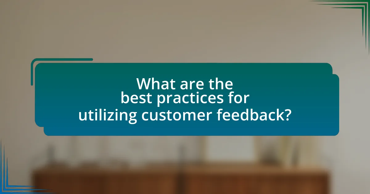 What are the best practices for utilizing customer feedback?